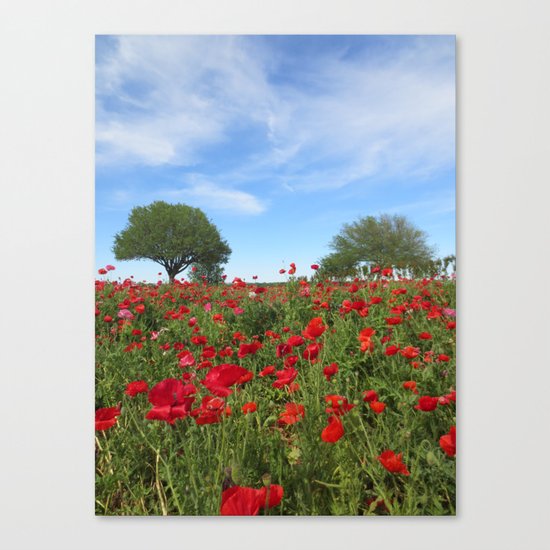 Poppy Field Canvas Print