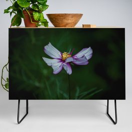 Beauty in Bloom Credenza