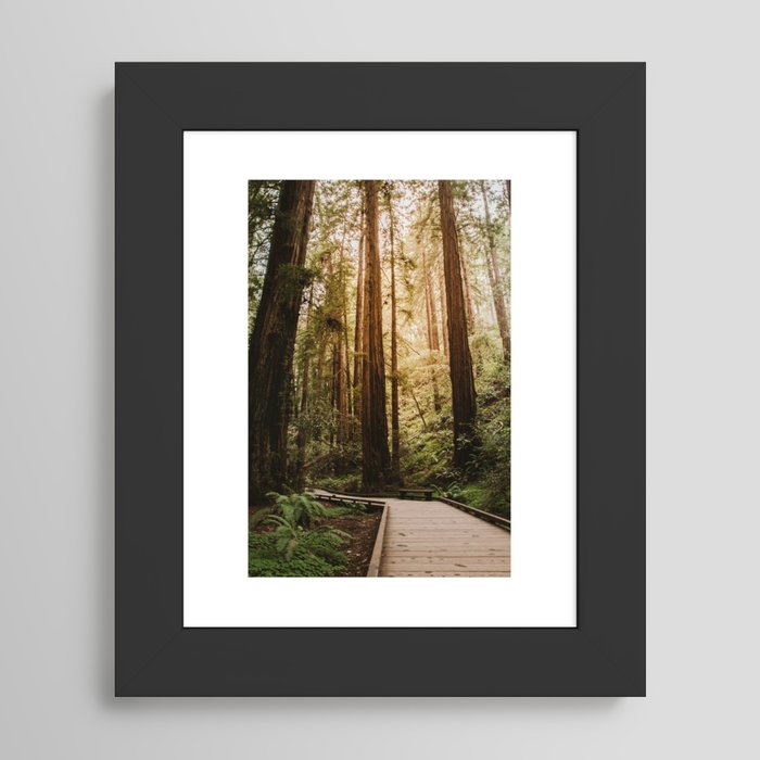 Framed Art Print
