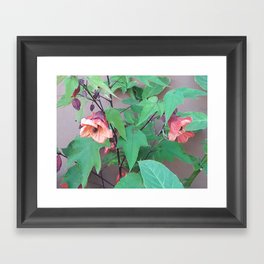 Floral Zen I Framed Art Print