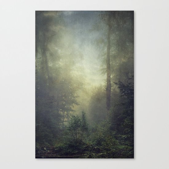 secret domaim Canvas Print