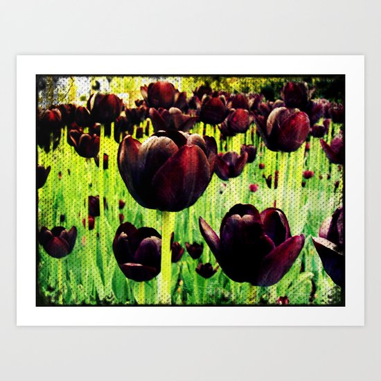 Tulips Art Print