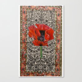 Persian Poppy Canvas Print