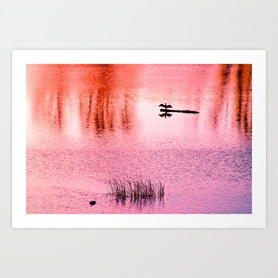 Ripples, reed, reflections,red Art Print