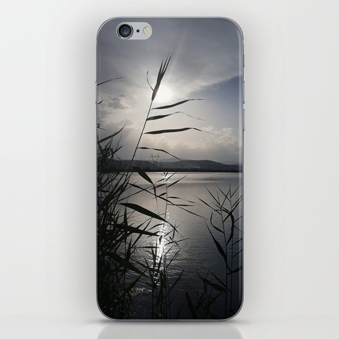 Cattails by the lakeshore at sunset iPhone Skin