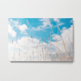 Summer Grass Metal Print | Color, Clouds, Sky, Summergrass, Wheat, Digital, Photo, Nature, Cloud, Grass 