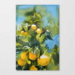 Yellow Canvas Print