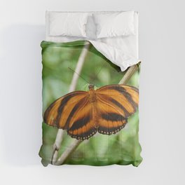 Brazil Photography - The Dryadula Phaetusa Butterfly Comforter