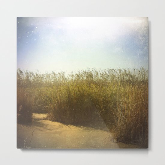 Little Swamp Metal Print