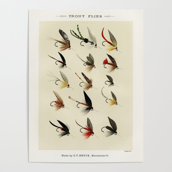 Trout Fly Fishing Poster by SFT Design Studio