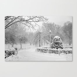 Snowstorm in the Boston Public Garden. Boston Massachusetts Black and White Canvas Print