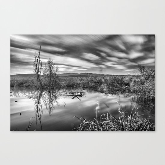"Mammoth Paradise II" Bw Canvas Print