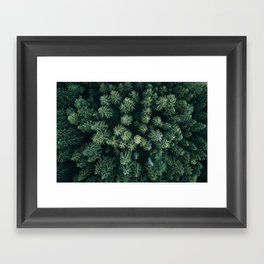Forest from above - Landscape Photography Framed Art Print