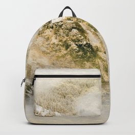Golden Winter Forest 3 Backpack