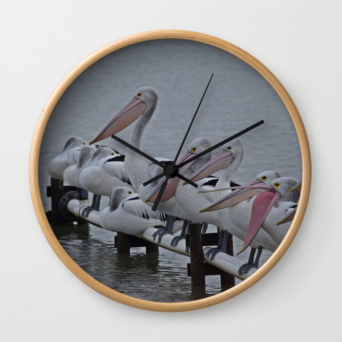 Pelicans of Meningie Wall Clock