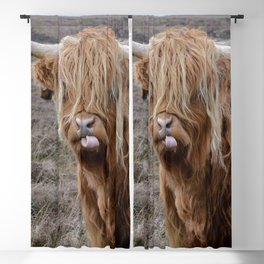 Scottish Highland Cow | Scottish Cattle | Cute Cow | Cute Cattle 05 Blackout Curtain