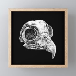 Owl Skull Framed Mini Art Print