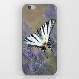 Lavender Flowers And A Beautiful Butterfly Photograph iPhone Skin