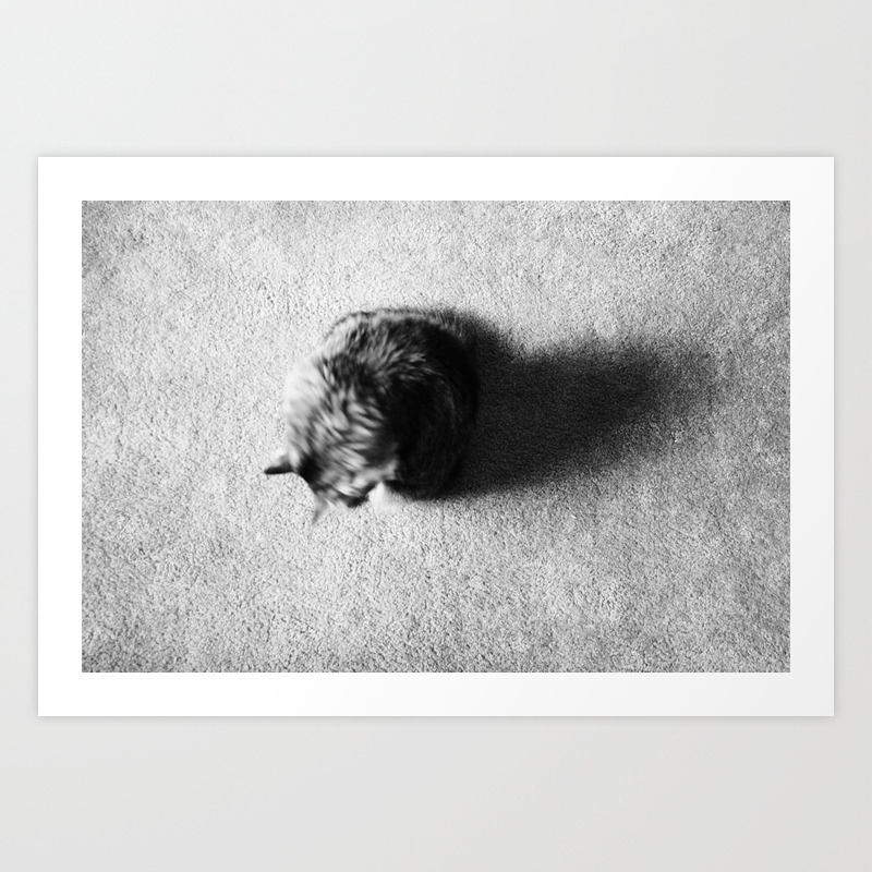 Aesthetic Black And White Cat 2 Art Print By Meganography Society6