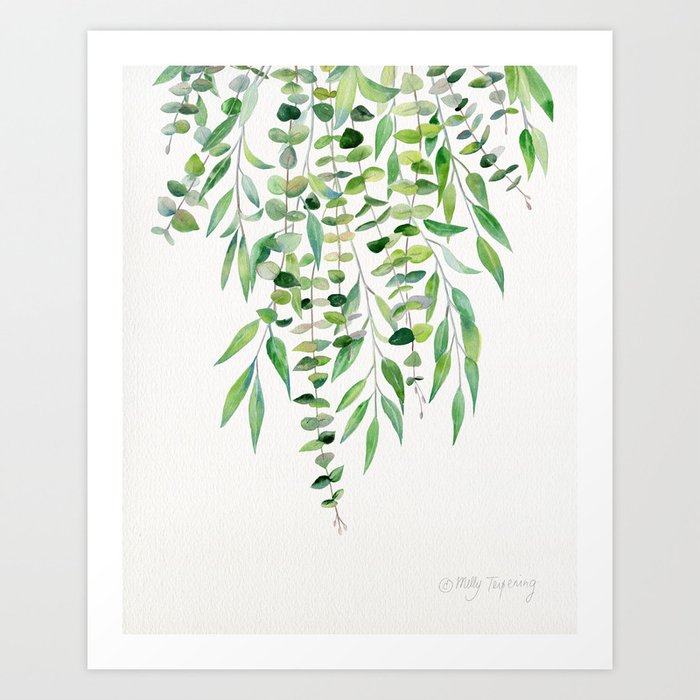Mixed Eucalyptus  Art Print