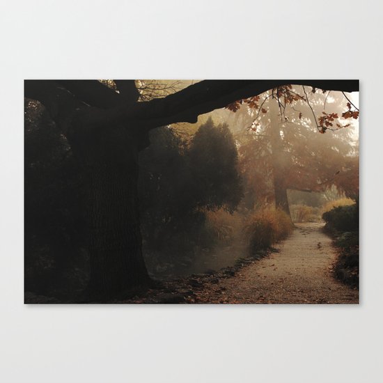 Natural mystique Canvas Print