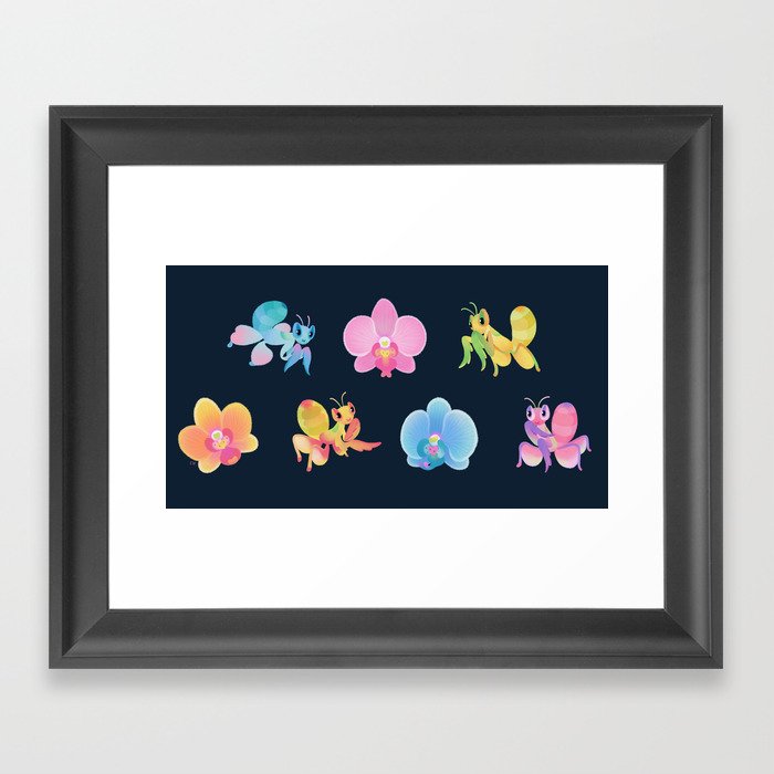 Orchid mantis - Dark Framed Art Print