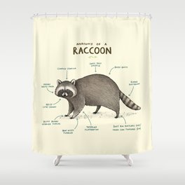 Anatomy of a Raccoon Shower Curtain
