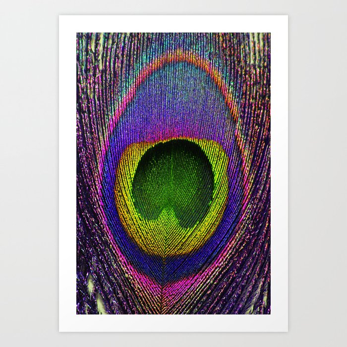 Purple Peacock Feather Art Print