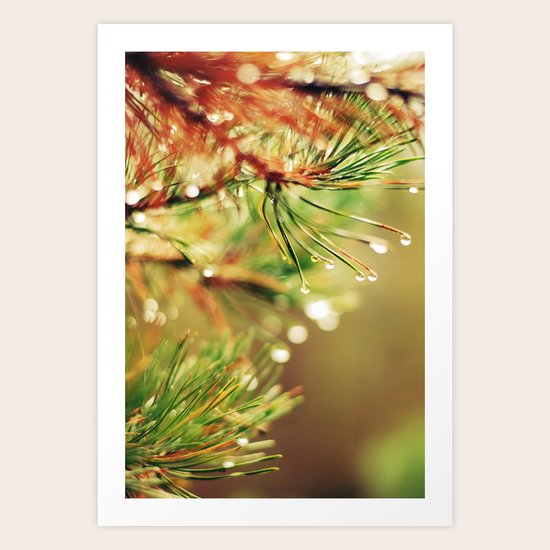PINE NEEDLE Art Print