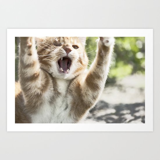 Attack Cat Art Print