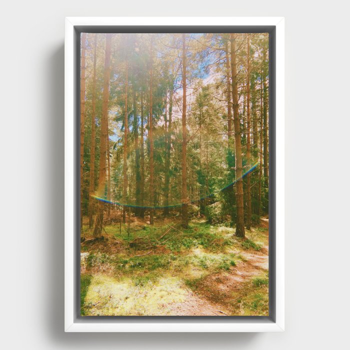 Framed Canvas