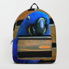 Blue Birds Watching You Backpack | Birds, Brown, Miami, Beek, Chair, Animal, Digital, Color, Orange, Stool 