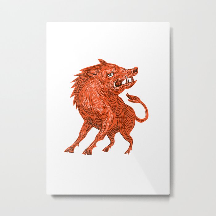Angry Razorback Ready To Attack Drawing Metal Print