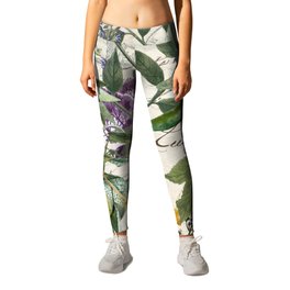 Taormina III Leggings