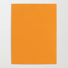 Texas Sunset Orange Poster