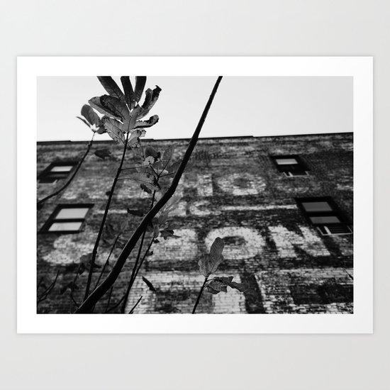 Renewal Art Print