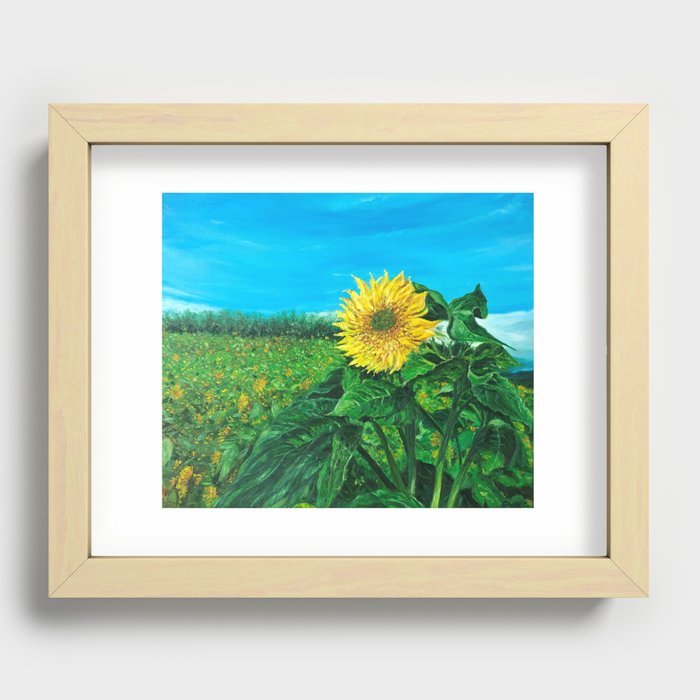 Sunflower in a bright sunny day, plenty of energy Recessed Framed Print