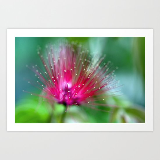 There Weren't Enough Words for the Colors. Art Print