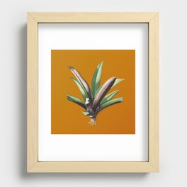 Vintage Boat Lily Botanical Illustration on Sunset Orange Recessed Framed Print