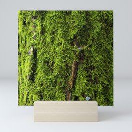 Moss Green, Moss Texture, Textured, Woodland Decor, Nature Art Print, Moss Decor, Nature home, Mini Art Print