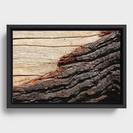 Wood Duo Framed Canvas