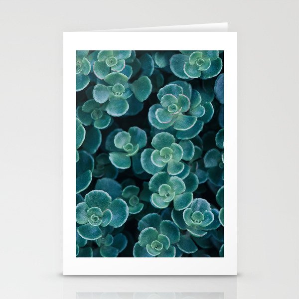 Succulents in Shades of the Sea Stationery Cards
