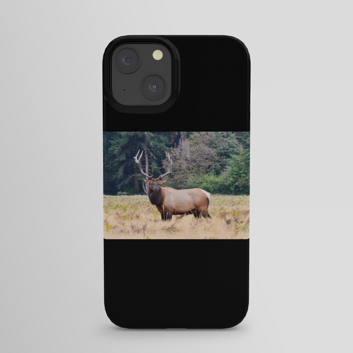 Deer Hunting iPhone Case