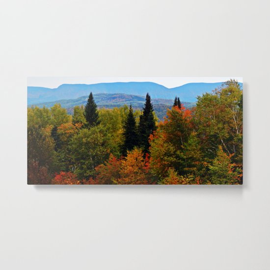 Mont Albert From Afar Metal Print