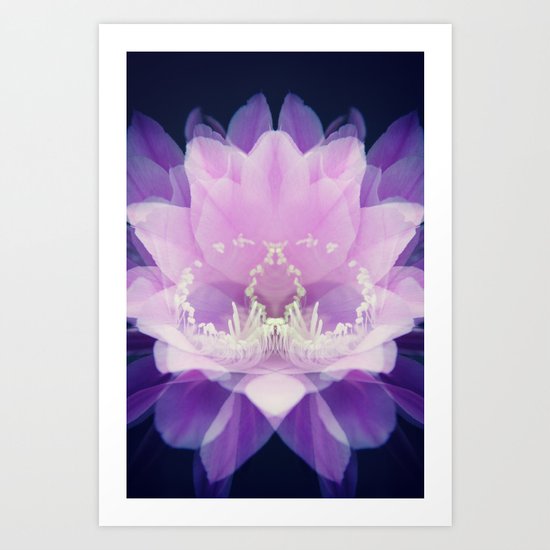 Cactus Flower Pink Art Print