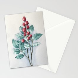 Wintergreen Stationery Cards