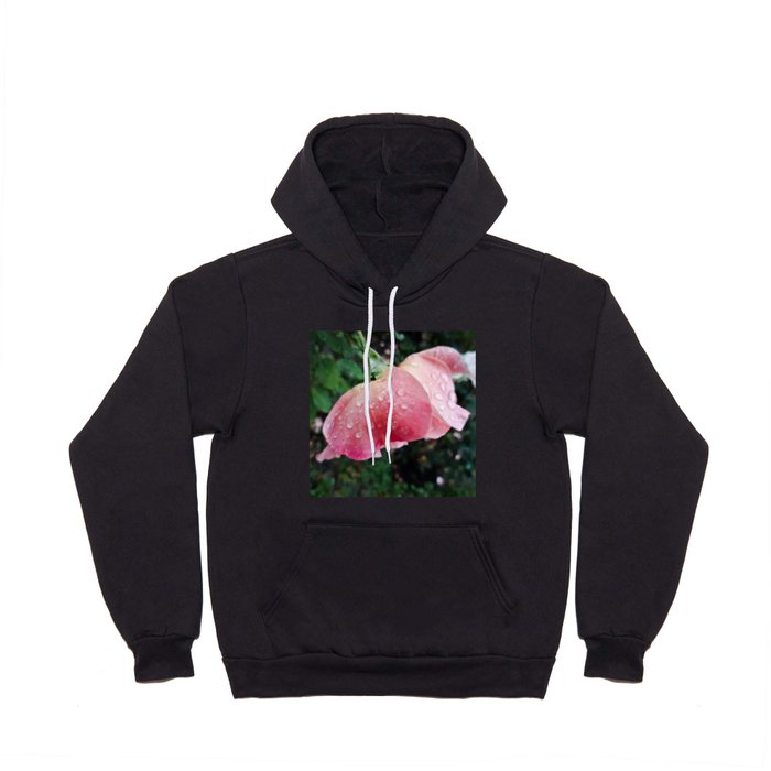Romantic pink rose rose with raindrops  Hoody