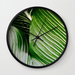 Big Leaves - Tropical Nature Photography Wall Clock