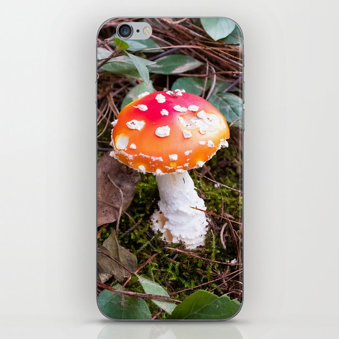 Cute small red and white mushroom iPhone Skin