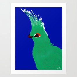 Turako blue and green Art Print